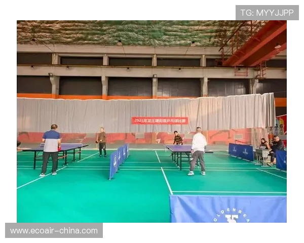 乒乓球在新时代的发展与创新探索助力全民健身与国际交流融合