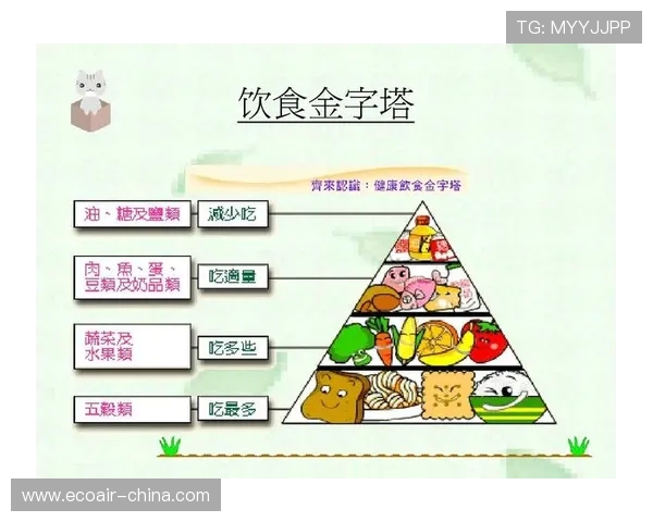 全面提升身体素质与健康管理的健身计划与饮食搭配指南