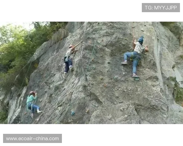 广州攀岩队在全国攀岩状态排行榜中荣获第九名的佳绩引发关注