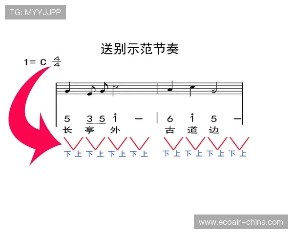 深入分析上海排球队的节奏打法及其战术优势与应用