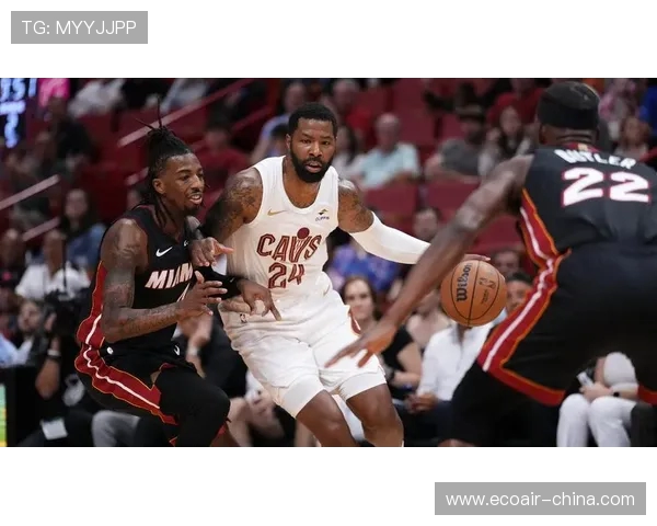 2015年骑士与热火精彩对决录像回放全程回顾与分析