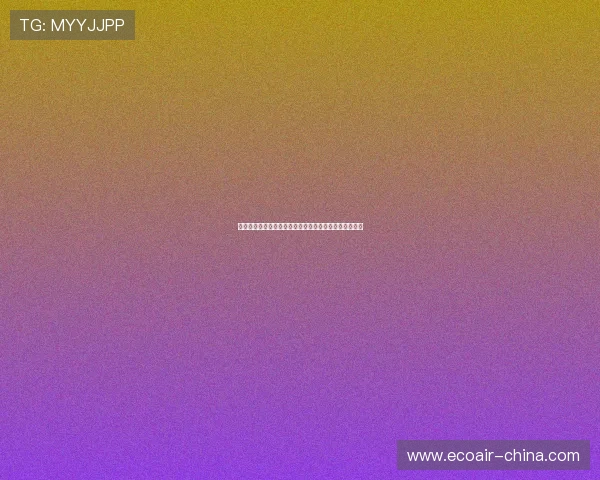 坎特的篮球传奇之路：从天赋异禀到荣耀巅峰的奋斗历程