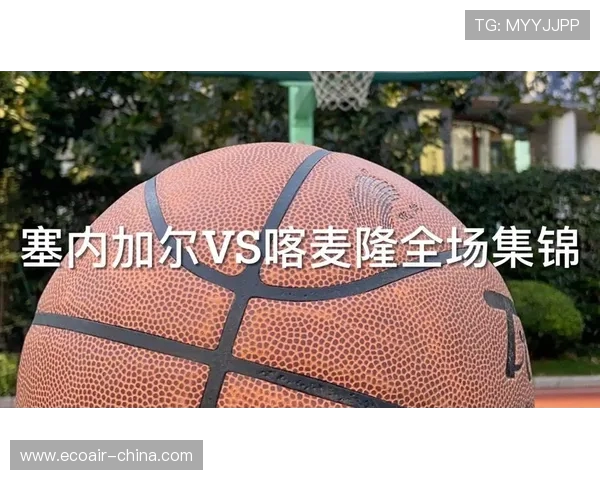 巴西与喀麦隆下半场精彩对决分析与战术解读